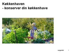 Kkkenhaven konserver din kkkenhave 1 2 Opgave Antal