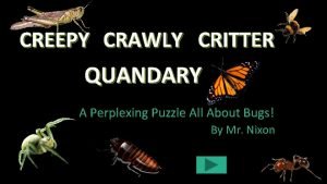 CREEPY CRAWLY CRITTER QUANDARY A Perplexing Puzzle All