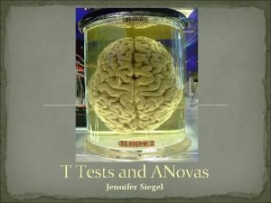 T Tests and ANovas Jennifer Siegel Objectives Statistical T Tests and ANovas Jennifer Siegel Objectives Statistical