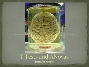 T Tests and ANovas Jennifer Siegel Objectives Statistical