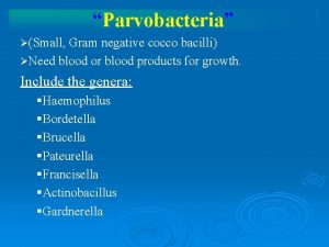 Parvobacteria