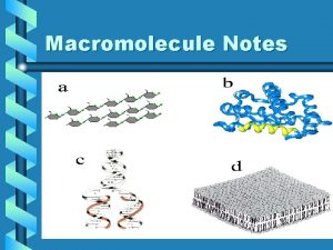 Macromolecule Notes General Vocabulary Monomers Subunits that make