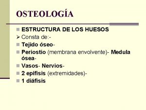 Osteologa Osteologa