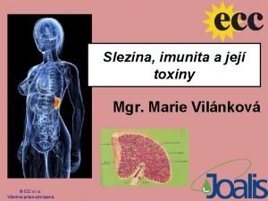 Slezina imunita a jej toxiny Mgr Marie Vilnkov