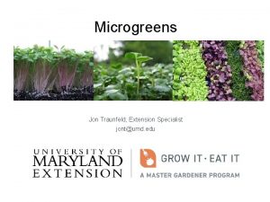 Microgreens Jon Traunfeld Extension Specialist jontumd edu Photo