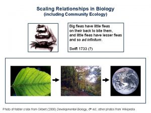 Fosters rule Fosters rule