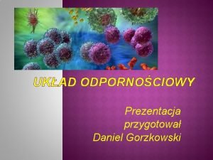 UKAD ODPORNOCIOWY Prezentacja przygotowa Daniel Gorzkowski UKAD ODPORNOCIOWY