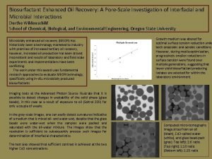 Biosurfactant Enhanced Oil Recovery A PoreScale Investigation of