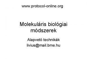 www protocolonline org Molekulris biolgiai mdszerek Alapvet technikk