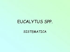 EUCALYTUS SPP SISTEMATICA ORIGEN Y DISTRIBUCIN GEOGRFICA Generalidades