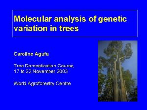 Genetic distance