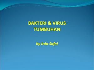 BAKTERI VIRUS TUMBUHAN by Irda Safni Bakteri Tumbuhan