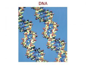 Dna molecule diagram