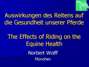 Auswirkungen des Reitens auf die Gesundheit unserer Pferde