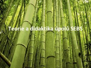 Teorie a didaktika pol SEBS Informace o pedmtu