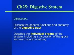 Digestive system objectives