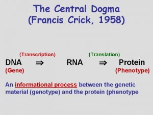 The Central Dogma Francis Crick 1958 Transcription DNA