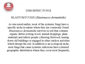 DIMORPHIC FUNGI BLASTOMYCOSIS Blastomyces dermatitidis As was noted