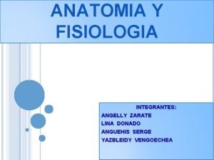 Cuadro comparativo de anatomia y fisiologia