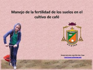 Manejo de la fertilidad de los suelos en