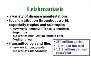 Leishmania disease