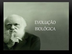 EVOLUO BIOLGICA Criacionismo Muitas vezes confundida com o