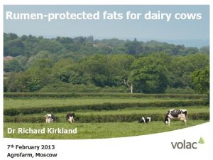 Rumenprotected fats for dairy cows Dr Richard Kirkland
