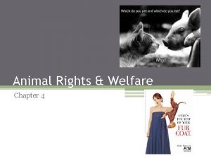 Animal Rights Welfare Chapter 4 Terms Animal Rights