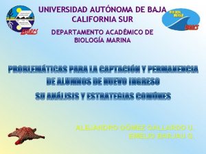 UNIVERSIDAD AUTNOMA DE BAJA CALIFORNIA SUR DEPARTAMENTO ACADMICO