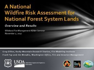 A National Wildfire Risk Assessment for National Forest