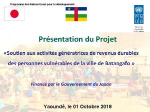 Programme des Nations Unies pour le dveloppement Prsentation