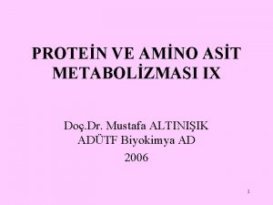 PROTEN VE AMNO AST METABOLZMASI IX Do Dr