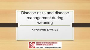 Disease risks and disease management during weaning KJ