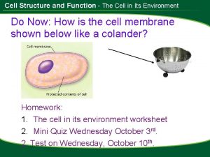 Cell Structure and Function The Cell in Its