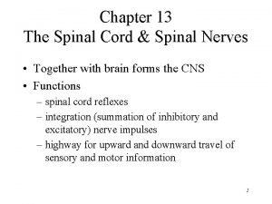 Spinal cord covered by