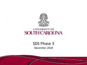 SDS Phase 3 December 2018 Service Delivery Support