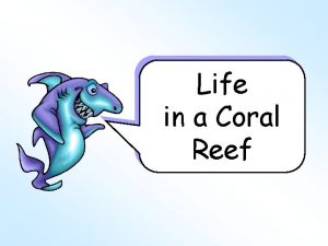 Coral reef food web