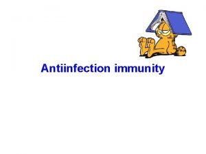 Antiinfection immunity Relationship between host and microorganisms commensal