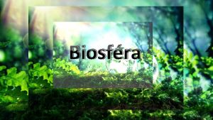 Biosfra Biosfra je sbor vetkch ekosystmov Zeme Je