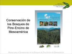 Conservacin de los Bosques de PinoEncino de Mesoamrica