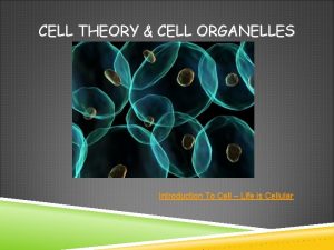 CELL THEORY CELL ORGANELLES Introduction To Cell Life