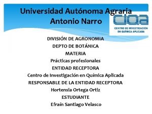 Universidad Autnoma Agraria Antonio Narro DIVISIN DE AGRONOMIA
