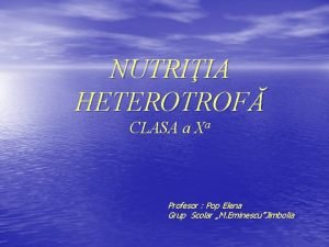 Nutritia heterotrofa la plante