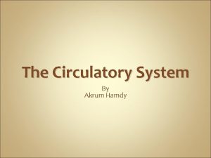 The Circulatory System By Akrum Hamdy The Importance