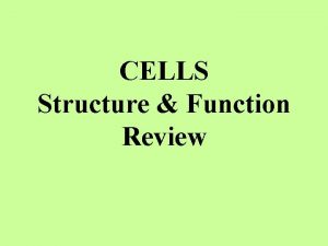 CELLS Structure Function Review What is the function