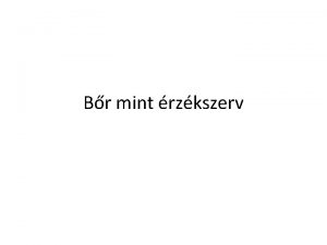 Br mint rzkszerv Szerkezet ism Mechanikai receptorok Br