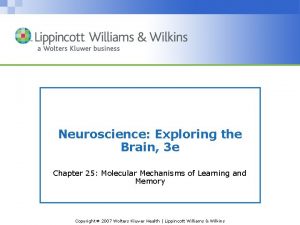 Neuroscience Exploring the Brain 3 e Chapter 25