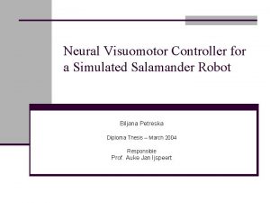 Neural Visuomotor Controller for a Simulated Salamander Robot