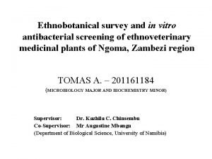 Ethnobotanical survey and in vitro antibacterial screening of