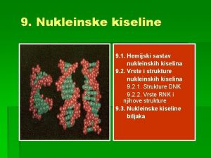 9 Nukleinske kiseline 9 1 Hemijski sastav nukleinskih